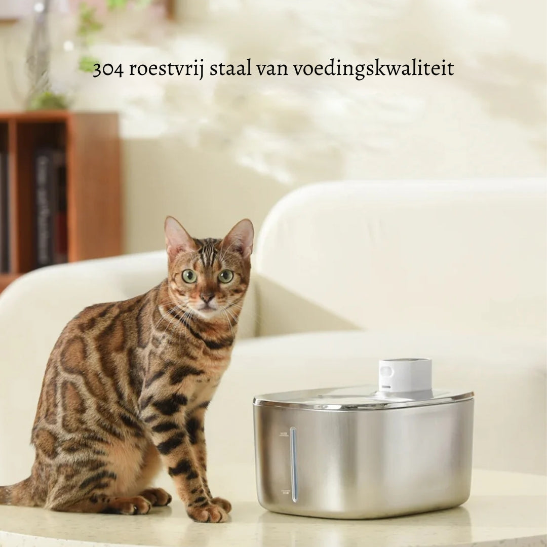 KattBrunn
